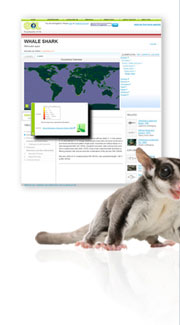 Encyclopedia of Life